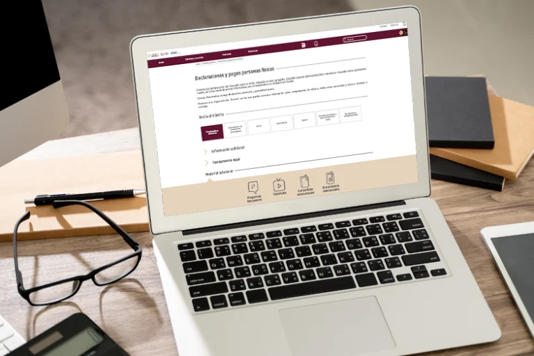 Como hacer declaraciones complementarias_3